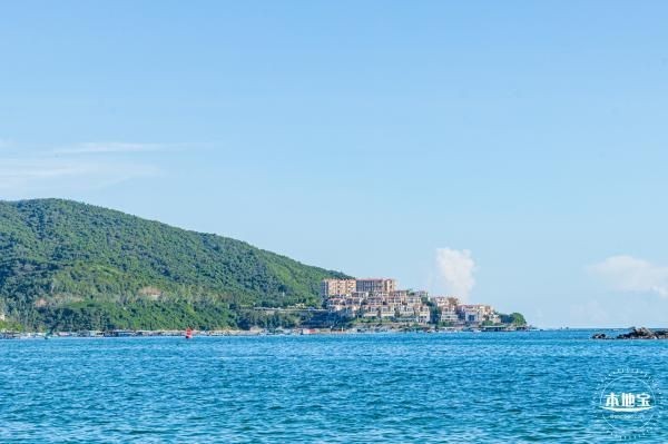 龍魚大賽深圳2024年最新消息