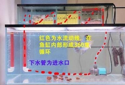 下循環的魚缸怎么安裝示意圖