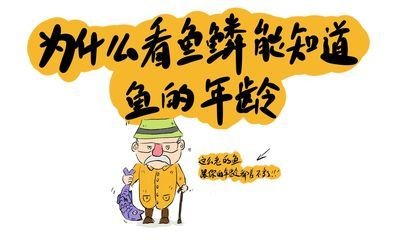 如何判斷龍魚的年齡（判斷龍魚的年齡是一個綜合性的過程）