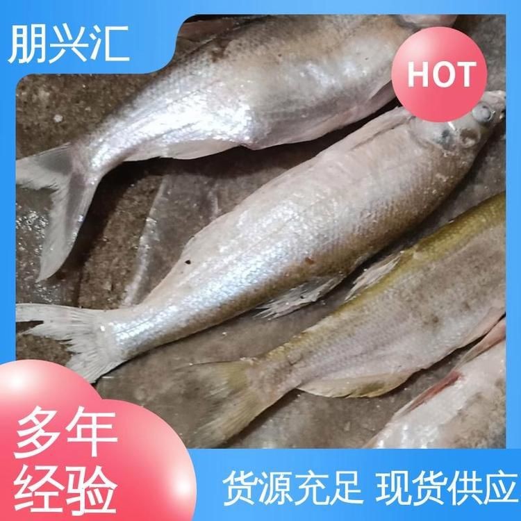 海鰱魚價格是多少錢