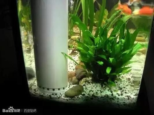 過濾 魚缸一天幾度水最好（魚缸水質管理全天24小時開啟過濾器過濾器的選擇與維護）