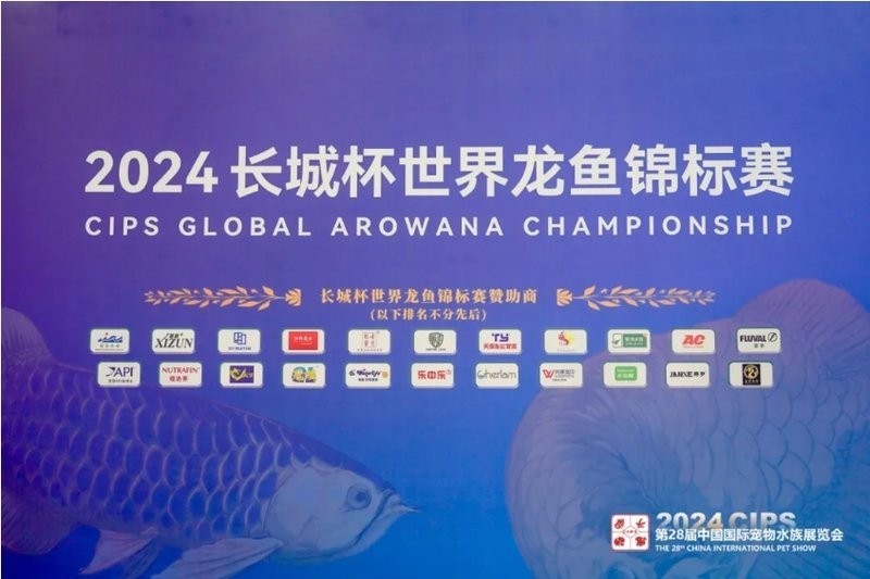 長城杯金魚大賽的歷史 2025長城杯龍魚大賽 第5張 長城杯金魚大賽的歷史 長城杯金魚大賽的歷史 2025長城杯龍魚大賽 第5張