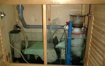 魚缸加熱器出現ee怎么解決：如何預防魚缸加熱器過熱