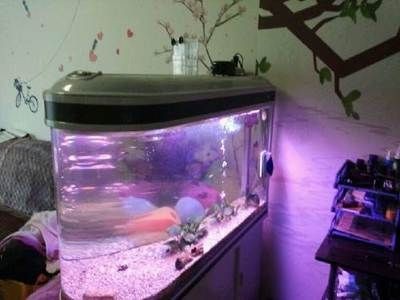 佳寶魚缸官方旗艦店客服電話