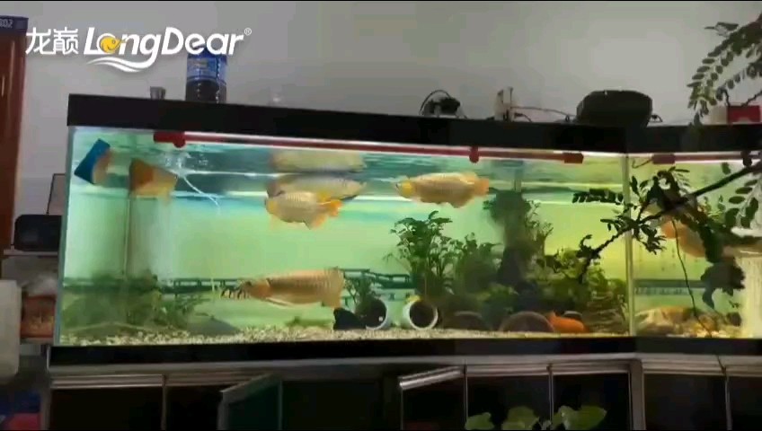 轉發836