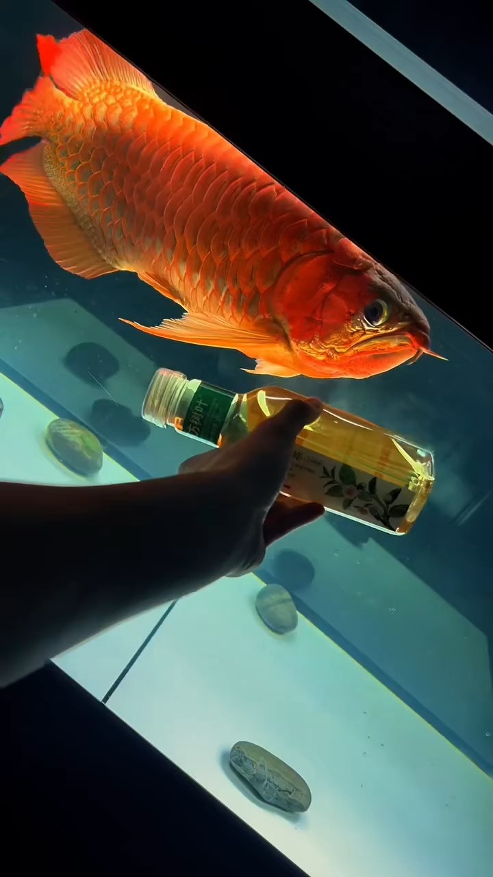 好看嗎？