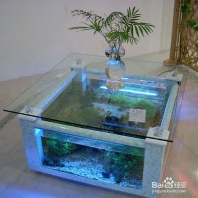 魚缸濾材怎么擺放：魚缸濾材擺放常見誤區(qū)
