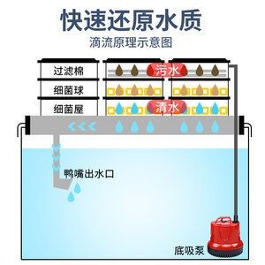 底濾魚缸底濾魚缸細菌屋使用方法是什么魚缸細菌屋使用竅門：如何正確使用底濾魚缸中的細菌屋