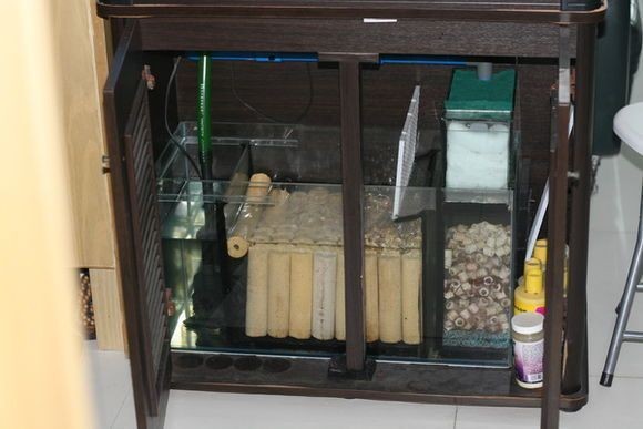底濾魚缸底濾魚缸細菌屋使用方法是什么魚缸細菌屋使用竅門：如何正確使用底濾魚缸中的細菌屋