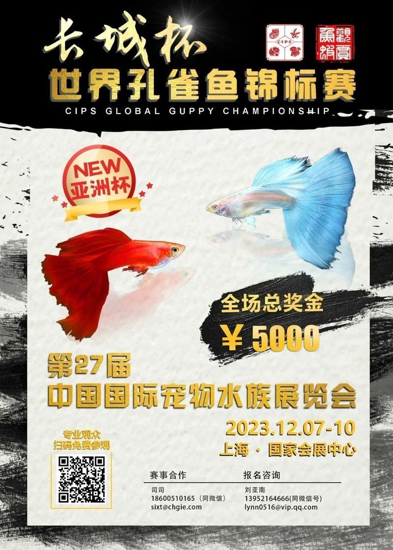 長城杯孔雀魚大賽2020
