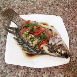 福壽魚的功效與作用和營養(yǎng)價值