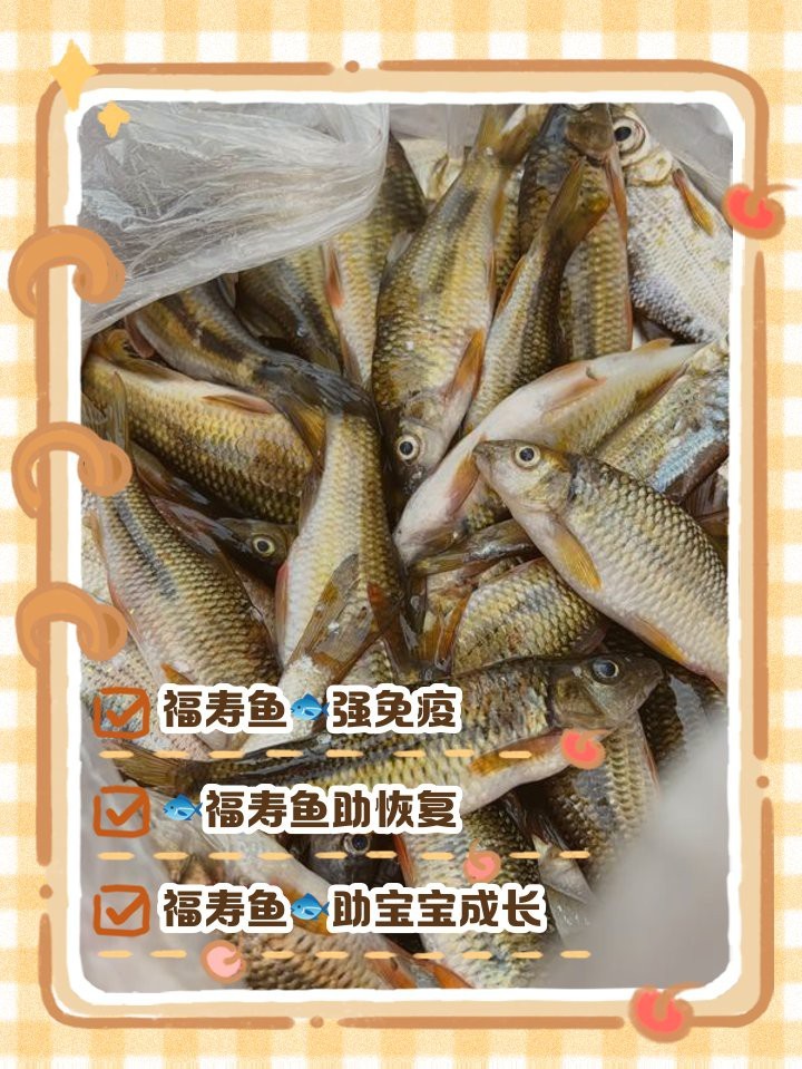 福壽魚的功效與作用和營養(yǎng)價值