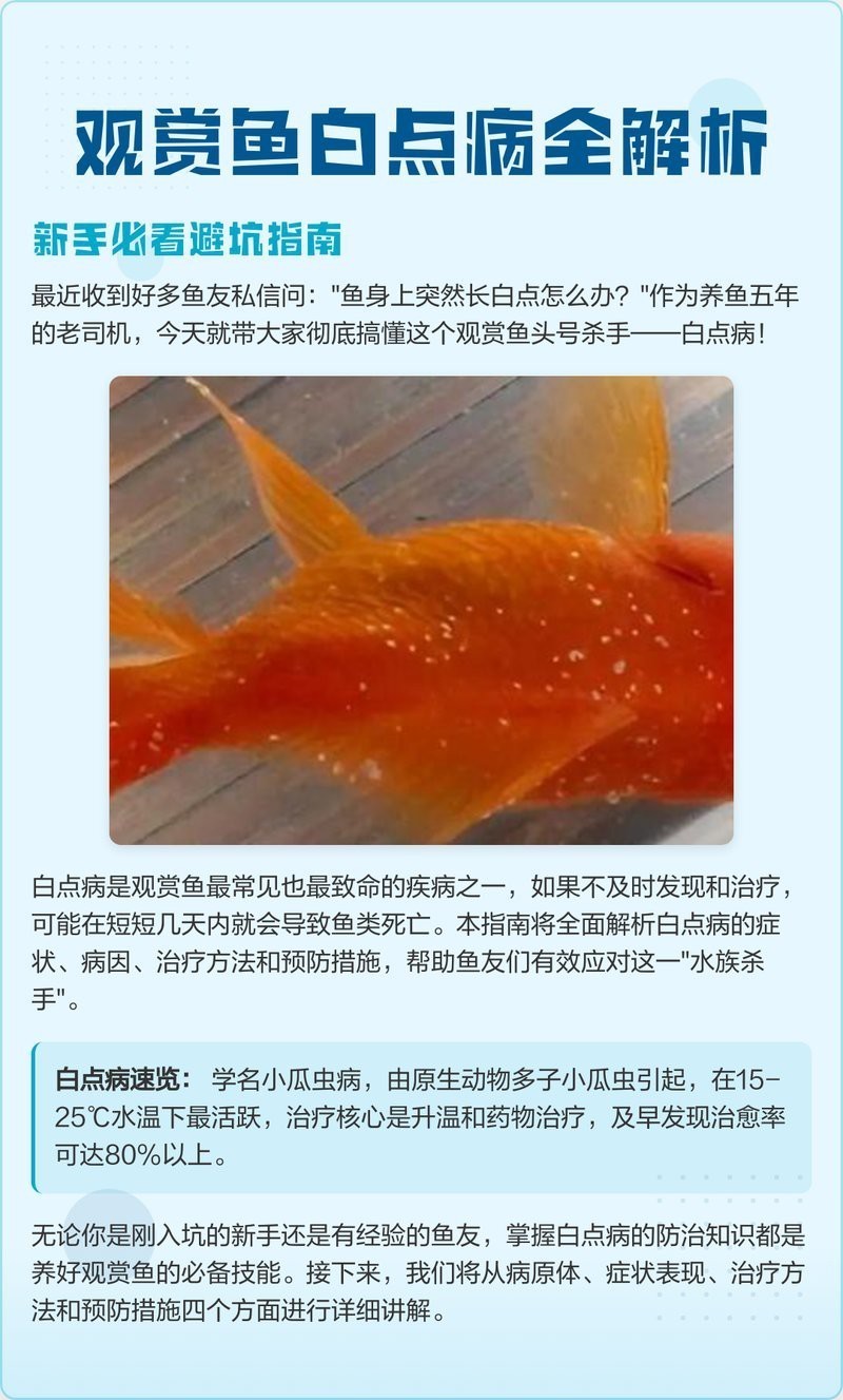 魚得了白點病多久會死