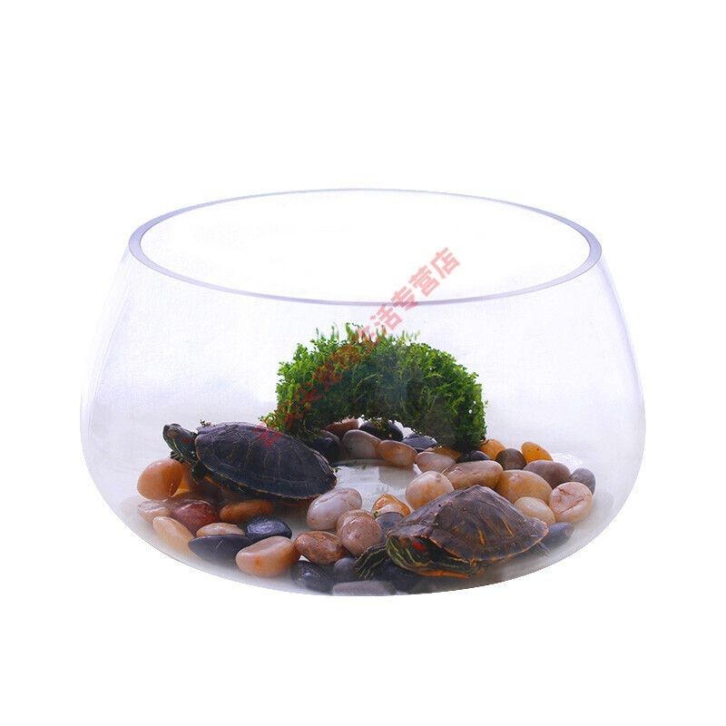 定制魚缸合同法律知識普及簽訂魚缸定制合同的基本要素：關于魚缸定制合同的知識