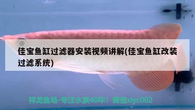 鼓樓區永剛觀賞魚養殖場（鼓樓區永剛觀賞魚養殖場地址）