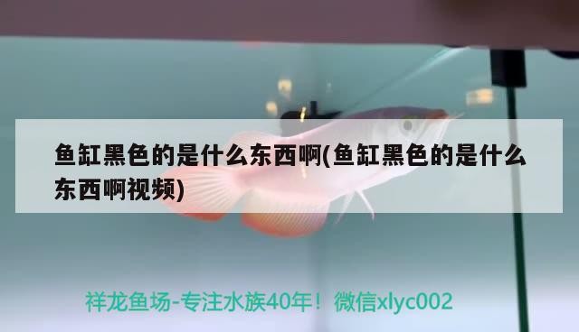 鼓樓區永剛觀賞魚養殖場（鼓樓區永剛觀賞魚養殖場地址）