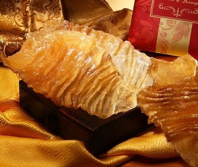 金龍魚魚膠好還是鳘魚魚膠好？：金龍魚魚膠和鳘魚魚膠哪個好