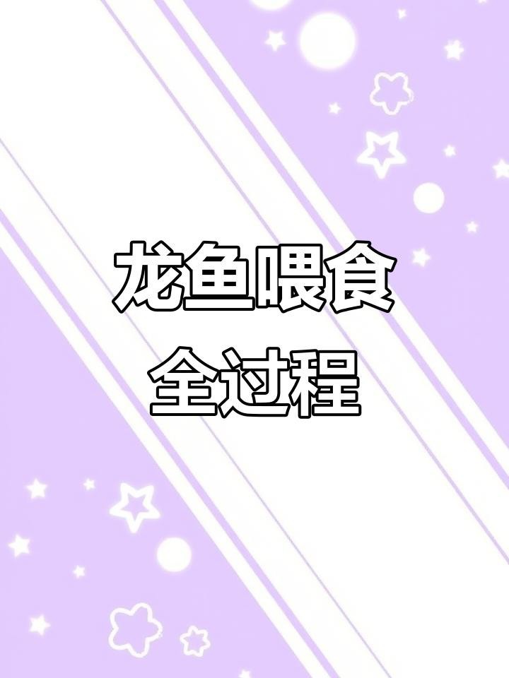 龍魚喂什么活食最好？