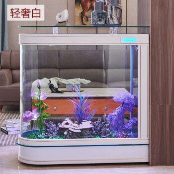 一米陽光魚缸多少錢一個：\"一米陽光魚缸多少錢一個