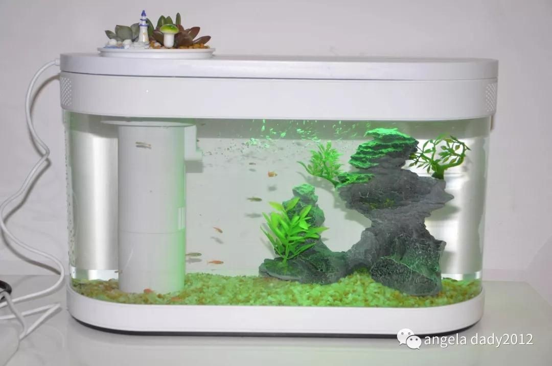 魚缸造景的基礎(chǔ)知識：畫法幾何魚缸造景之前，我們可以了解一些關(guān)于魚缸造景的基本知識