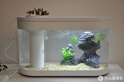 魚缸造景的基礎(chǔ)知識：畫法幾何魚缸造景之前，我們可以了解一些關(guān)于魚缸造景的基本知識