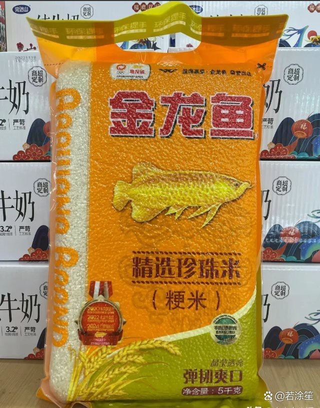 金龍魚高管名單最新