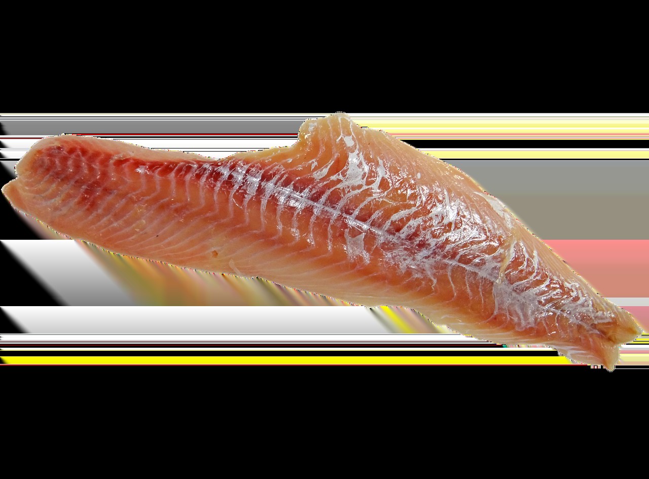 雙線魚和普通魚的區別