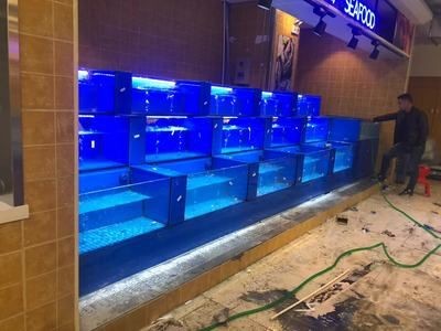 魚缸消毒的科學原理：海鮮魚缸如何消毒？