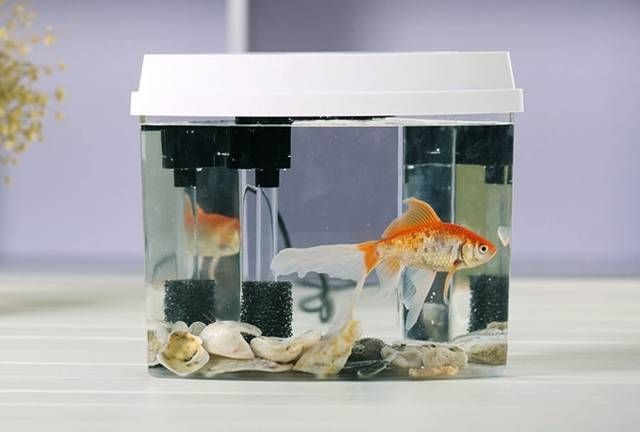 水族器材品牌有哪些？：國內知名的魚缸品牌有哪些？