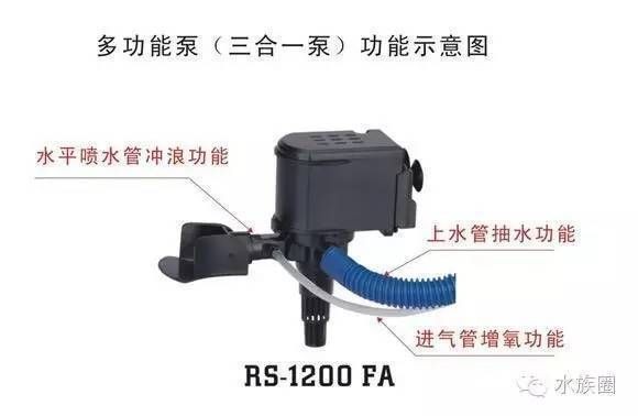 如何根據(jù)魚缸尺寸選水泵？：如何根據(jù)魚缸尺寸選擇合適的水泵 如何根據(jù)魚缸尺寸選水泵？：如何根據(jù)魚缸尺寸選擇合適的水泵 魚缸百科 第3張