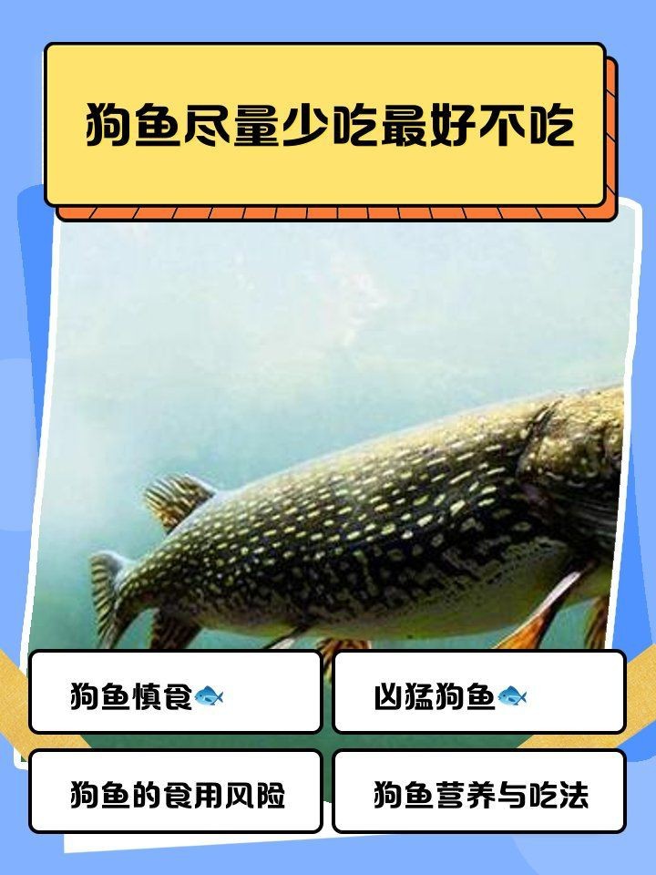 狗頭魚為何要少吃