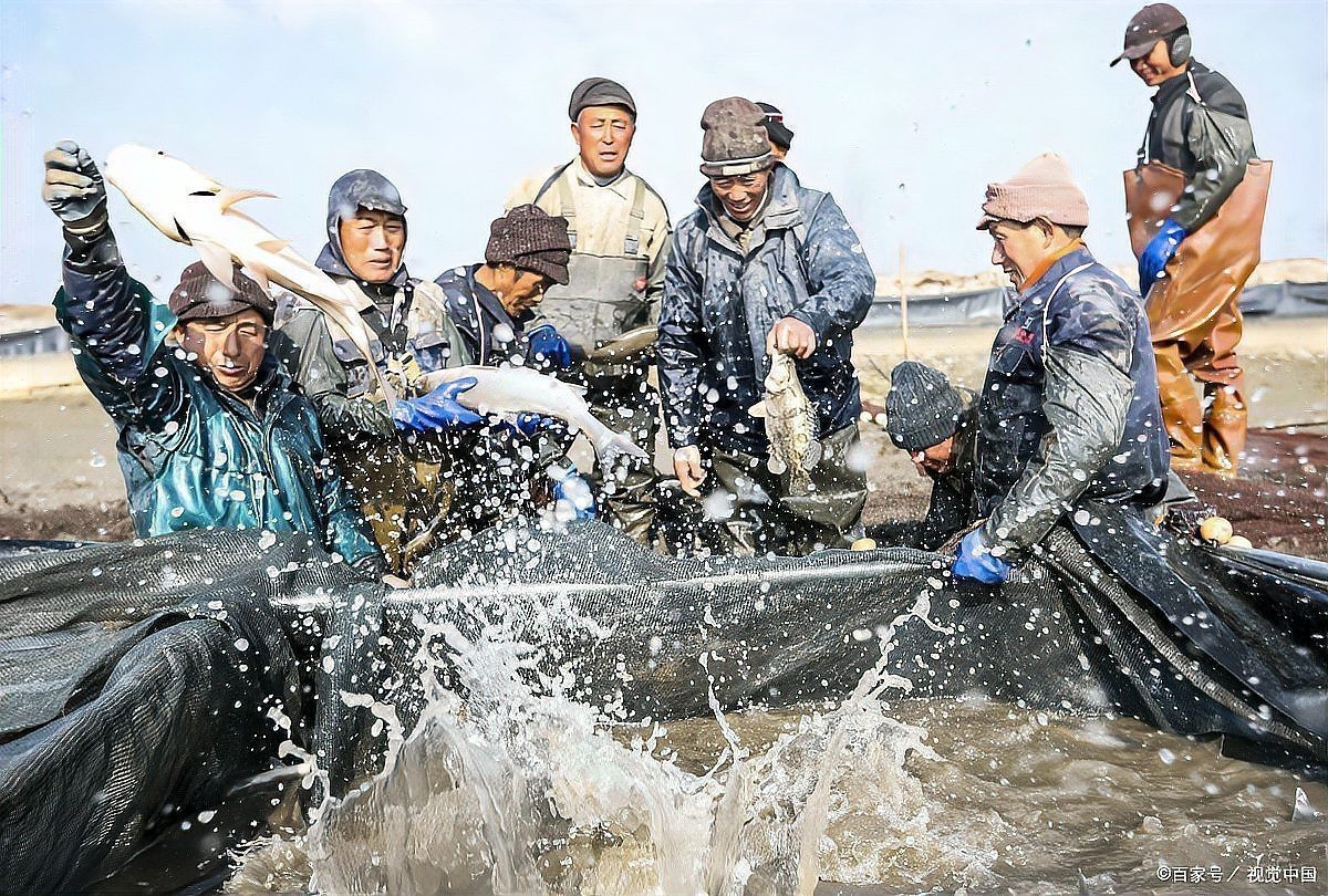 什么魚能毀掉一個魚塘