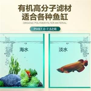 魚缸過濾材料的選擇指南，：魚缸水質管理的全面指南