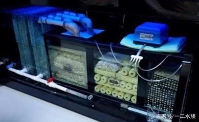 魚缸過濾器選擇一個(gè)好的魚缸過濾器需要考慮多個(gè)因素：如何選擇合適的魚缸過濾器
