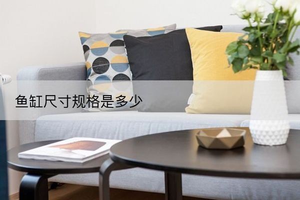 魚缸價格及圖片尺寸