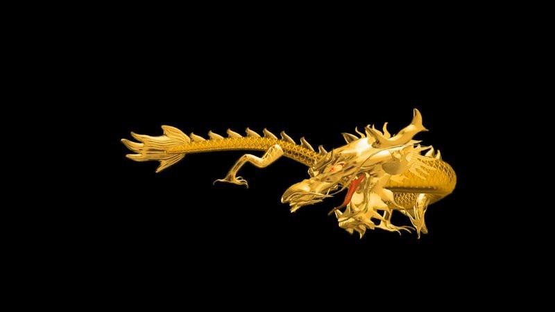 有沒有高清的二龍動態壁紙？ 有沒有高清的二龍動態壁紙？ 龍魚論壇 第1張