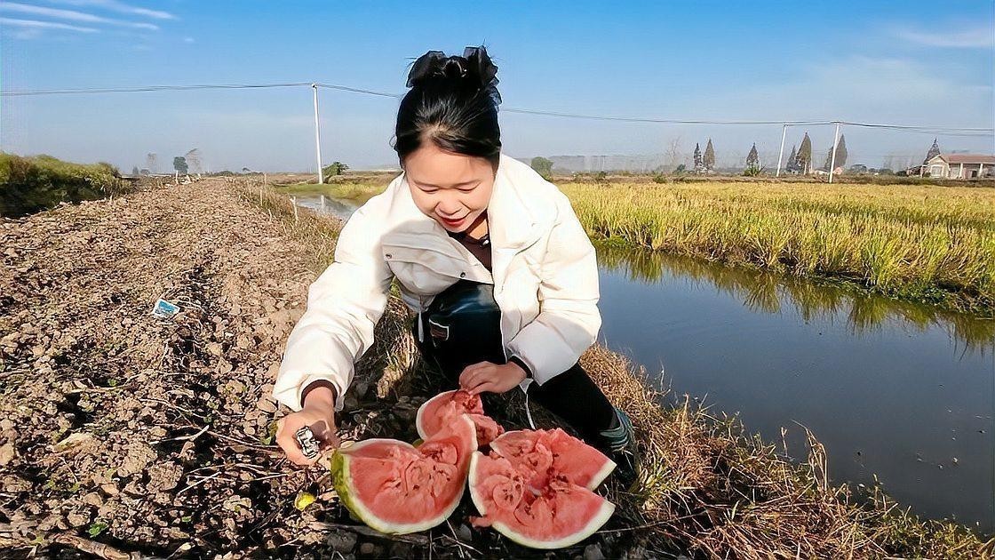 有哪些觀賞蝦品種？