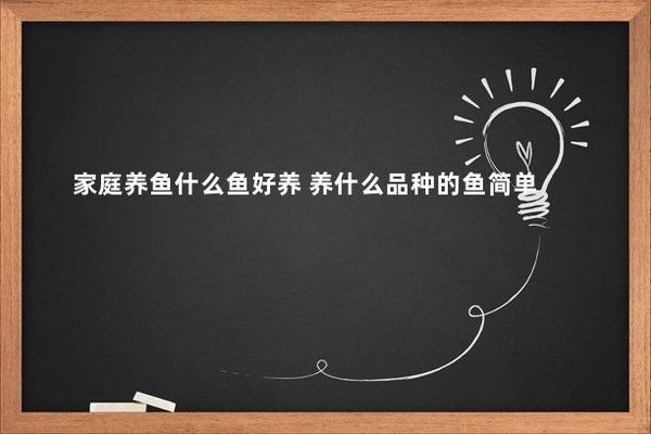 十大最旺家庭養(yǎng)的魚