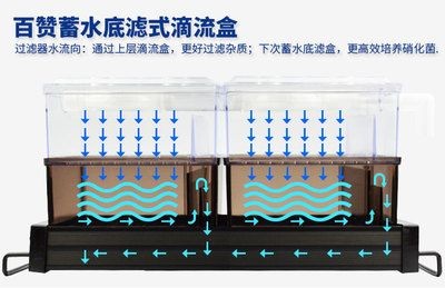 魚缸過濾原理解析魚缸過濾原理解析魚缸過濾原理解析：如何判斷魚缸過濾效果？