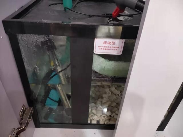 魚缸水泵不好啟動是什么原因:魚缸水泵不好啟動可能由多種因素引起魚缸水泵不好啟動 魚缸百科 第2張 魚缸水泵不好啟動是什么原因:魚缸水泵不好啟動可能由多種因素引起魚缸水泵不好啟動 魚缸水泵不好啟動是什么原因:魚缸水泵不好啟動可能由多種因素引起魚缸水泵不好啟動 魚缸百科 第2張