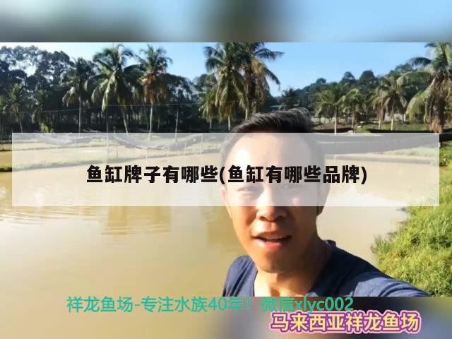 魚缸牌子有哪些(魚缸有哪些品牌)