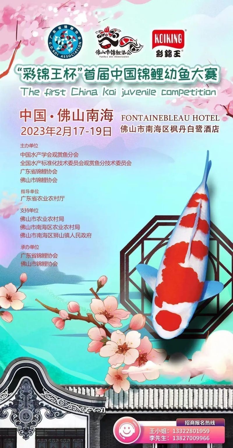 有哪些知名的觀賞魚賽事？