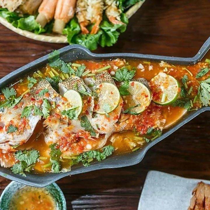 檸檬鯽魚和泰國(guó)鯽魚哪個(gè)好