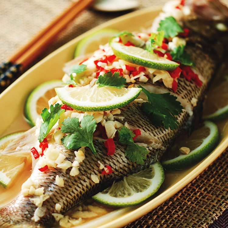檸檬鯽魚和泰國(guó)鯽魚哪個(gè)好