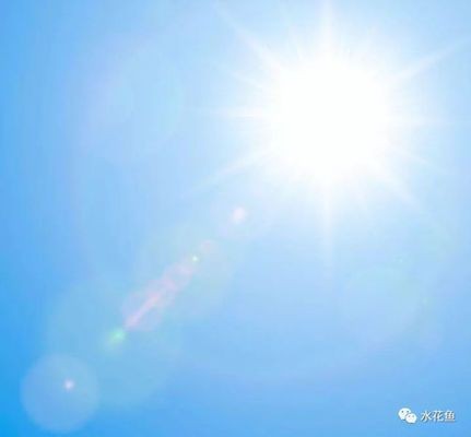 魚缸光照時長對魚類健康的影響：魚缸光照時長對魚類健康有何影響？