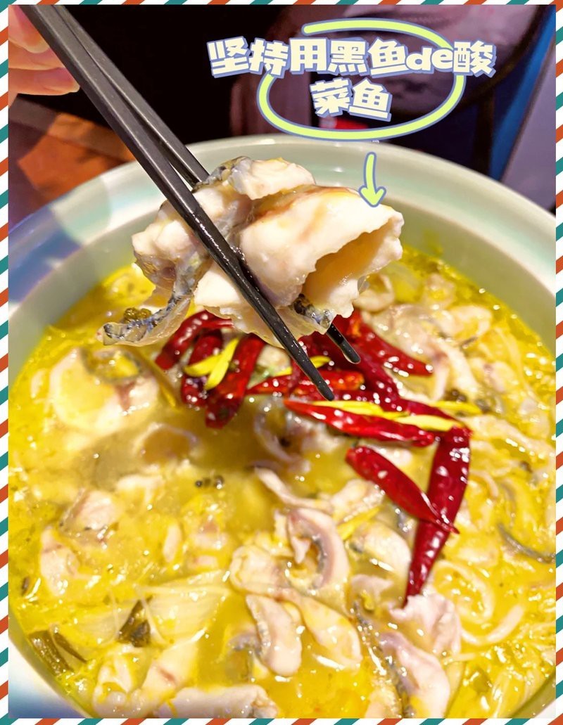 龍利魚和黑魚的市場價格差異大嗎？