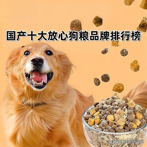 十大國產良心狗糧排名 十大國產良心狗糧排名 龍魚論壇 第3張