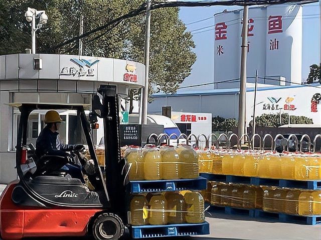 金龍魚武漢生產基地在哪里 金龍魚武漢生產基地在哪里 龍魚百科 第1張