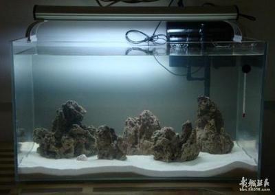 過濾石放魚缸里可以嗎（魚缸水質管理的全面解析）