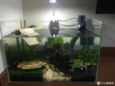 底濾魚缸的優(yōu)化策略：底濾魚缸改造藝術(shù)魚缸改造的優(yōu)化策略底濾魚缸改造步驟和注意事項(xiàng)